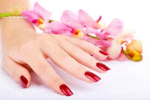 Màu đỏ sang trọng quý phái - baogiadinh.vn