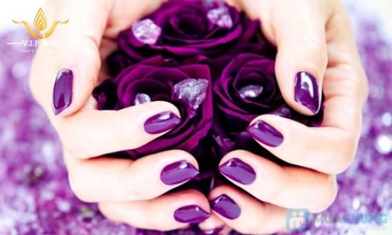 màu tím sáng tạo,sống động - baogiadinh.vn