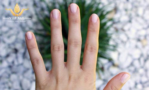 nail du xuân - baogiadinh.vn