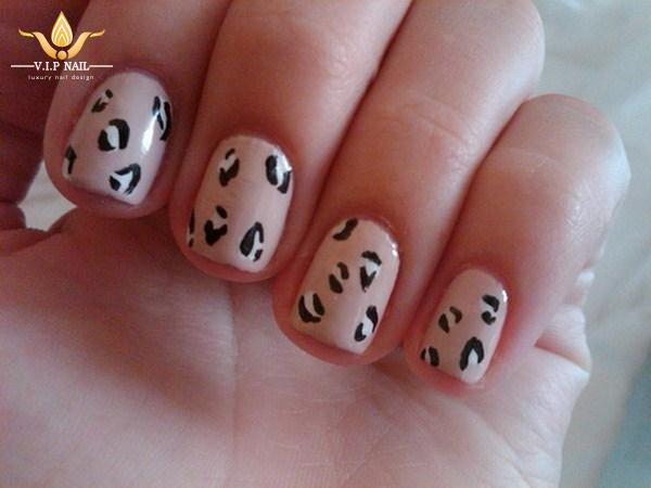 mẫu nail cho móng ngắn - baogiadinh.vn