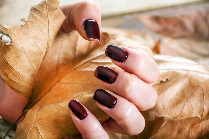Mẫu nail tông nâu hạt dẻ hình 2