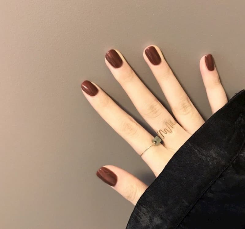 Mẫu nail màu nâu tôn da sáng 
