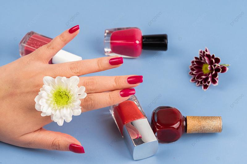 Các địa chỉ dạy làm nail tại HCM uy tín được nhiều học viên đăng ký